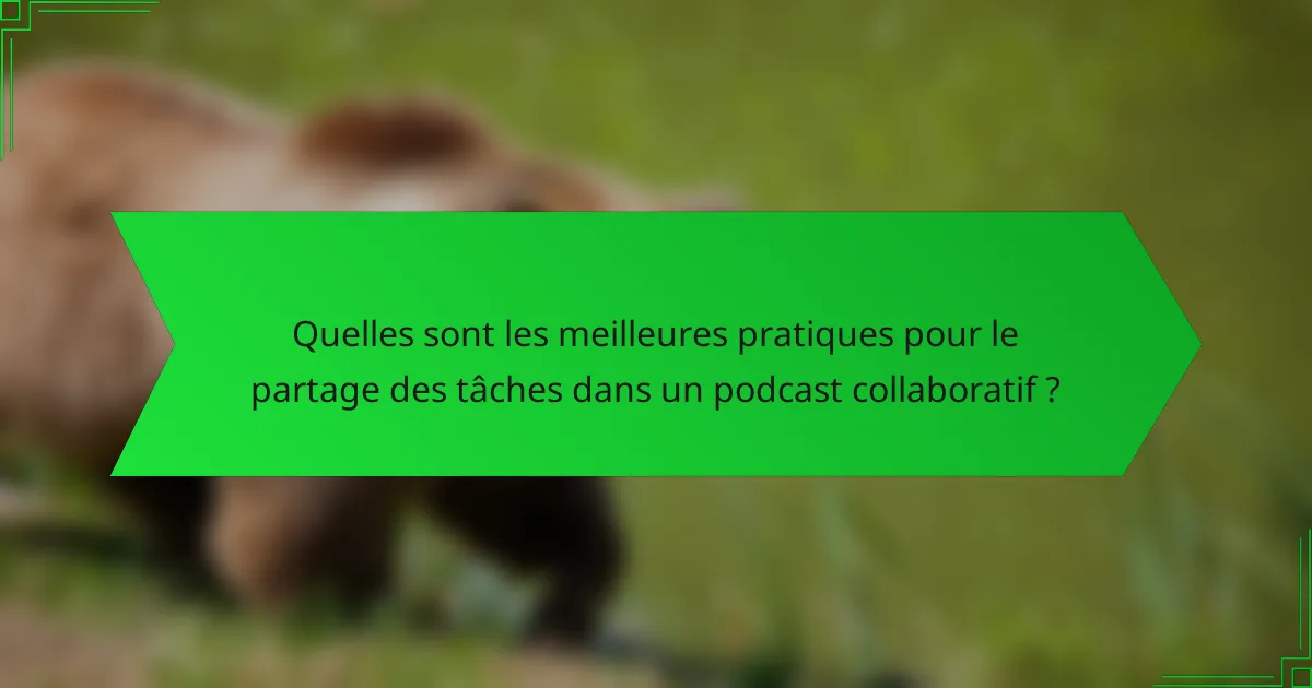 Quelles sont les meilleures pratiques pour le partage des tâches dans un podcast collaboratif ?